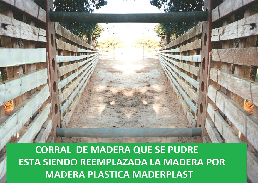 corral de madera plástica corrales wpc corrales de plastimadera corrales corralejas establos pesebreras madera o plástico maderplast maderas sintética maderplas wpc pvc pp pe pehd pebd 005 corral de madera plástica corrales wpc corrales de plastimadera corrales corralejas establos pesebreras madera o plástico maderplast maderas sintética maderplas wpc pvc pp pe pehd pebd 005 corral de madera plástica corrales wpc corrales de plastimadera corrales corralejas establos pesebreras madera o plástico maderplast maderas sintética maderplas wpc pvc pp pe pehd pebd 005